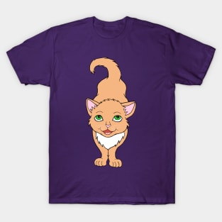 Adorable Buff Orange Ginger Kitten T-Shirt